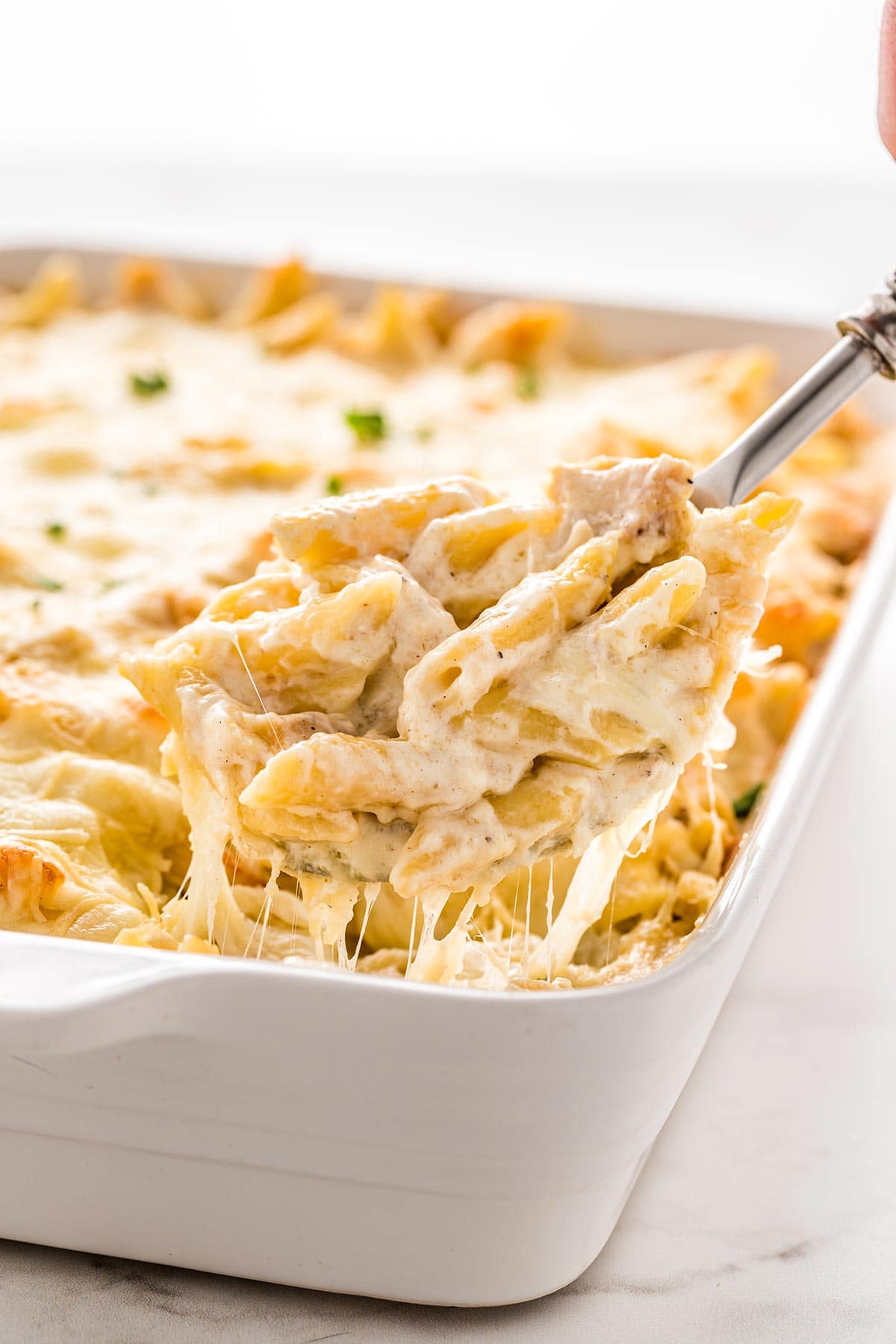 59 Freezer Meals the Whole Family will Love
